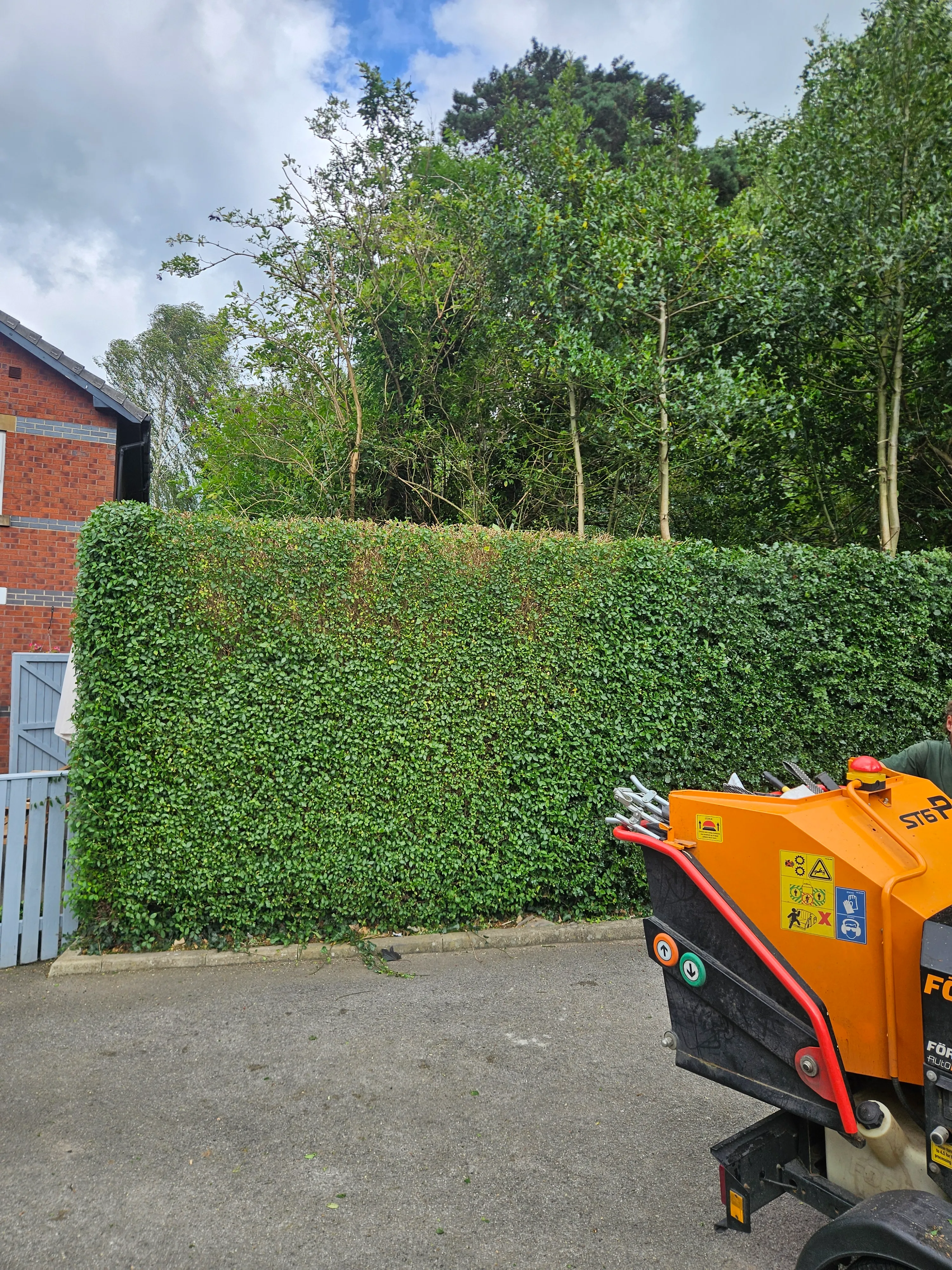 A small machine is parked in front of a hedge.