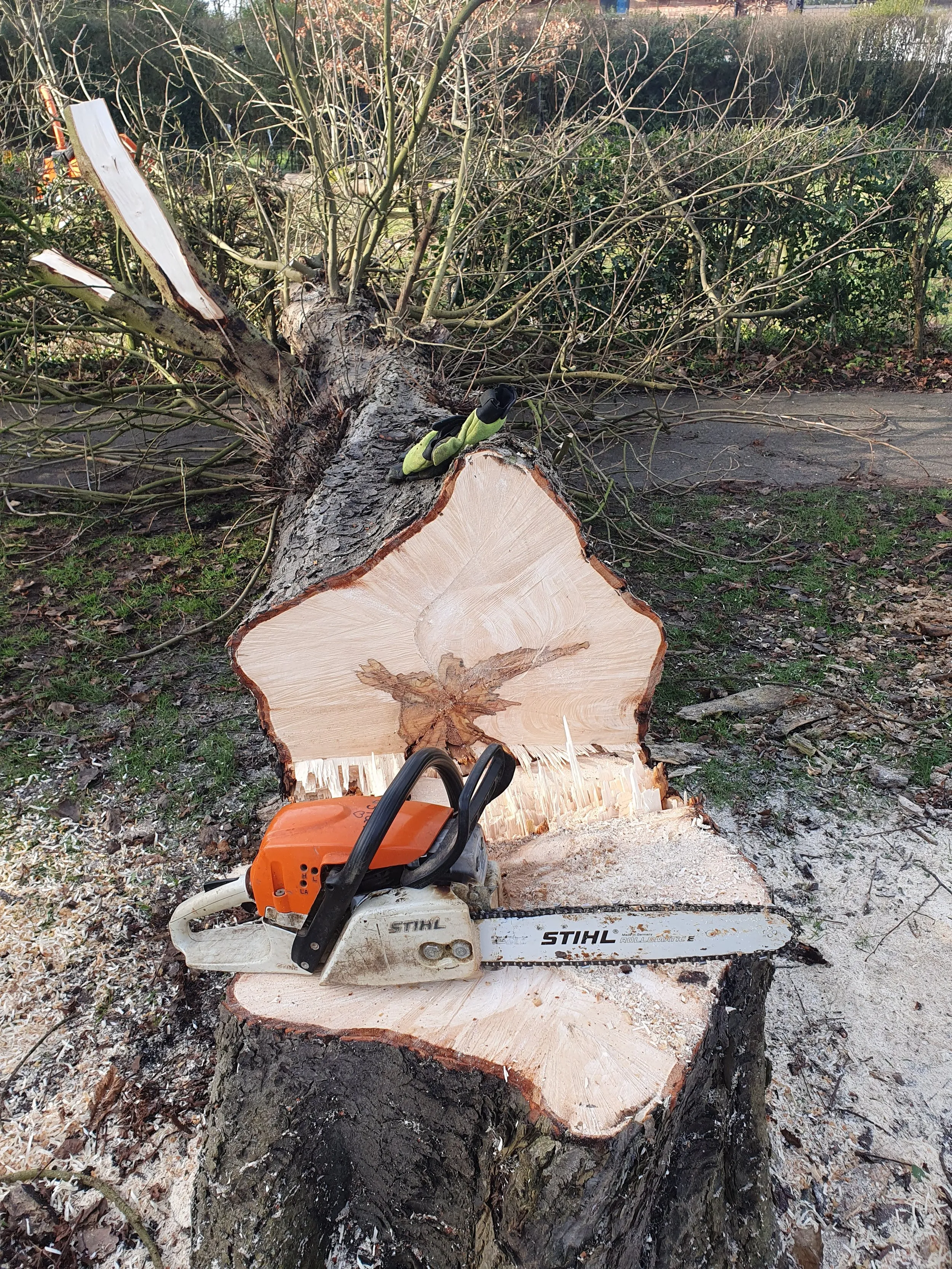 A tree stump with a chainsaw on top of it.