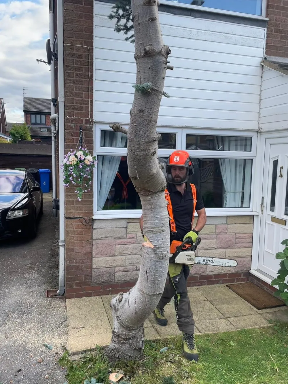 A man with a chainsaw standing next to a tree.