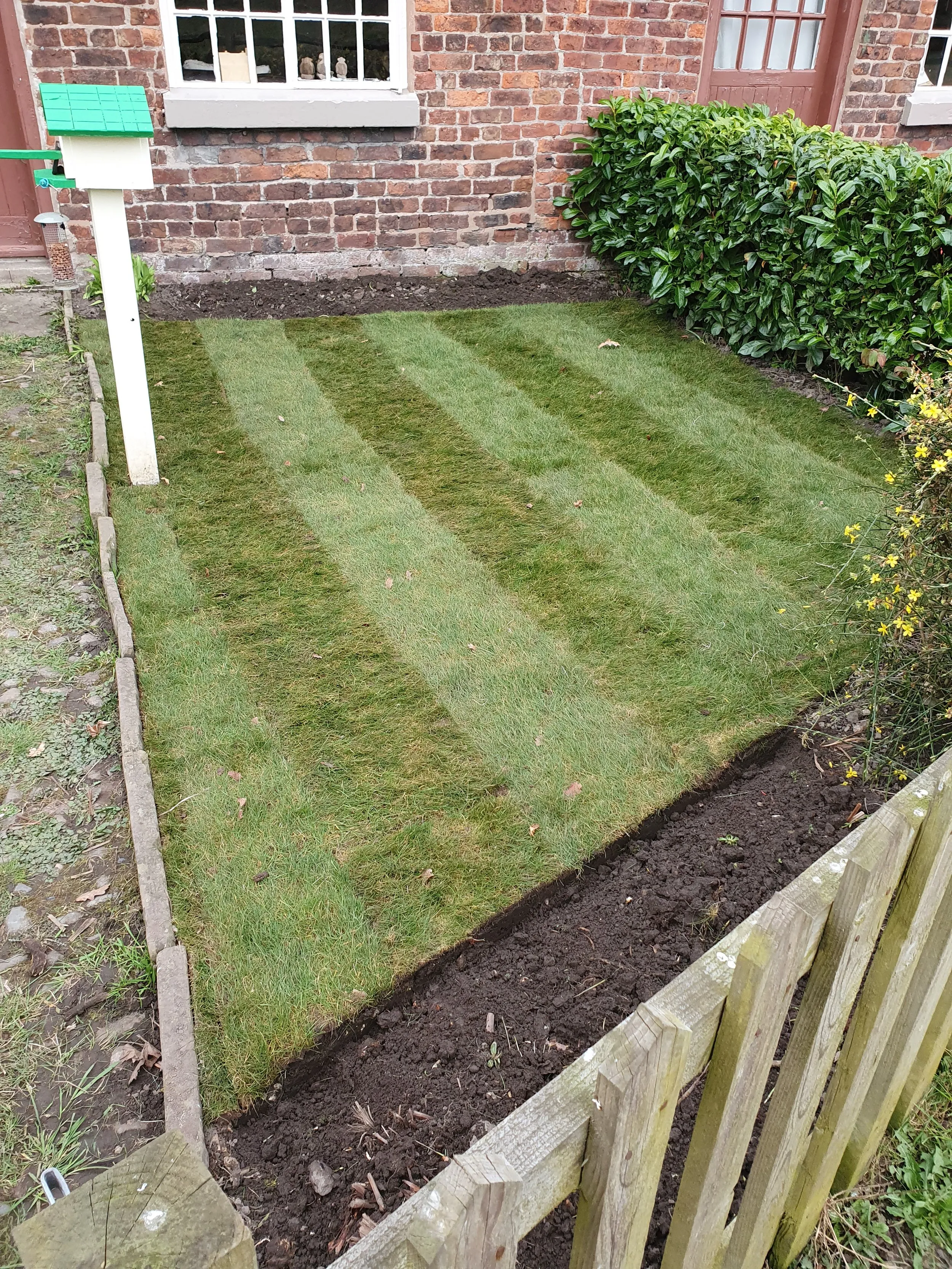 A yard with a wooden fence and grass.