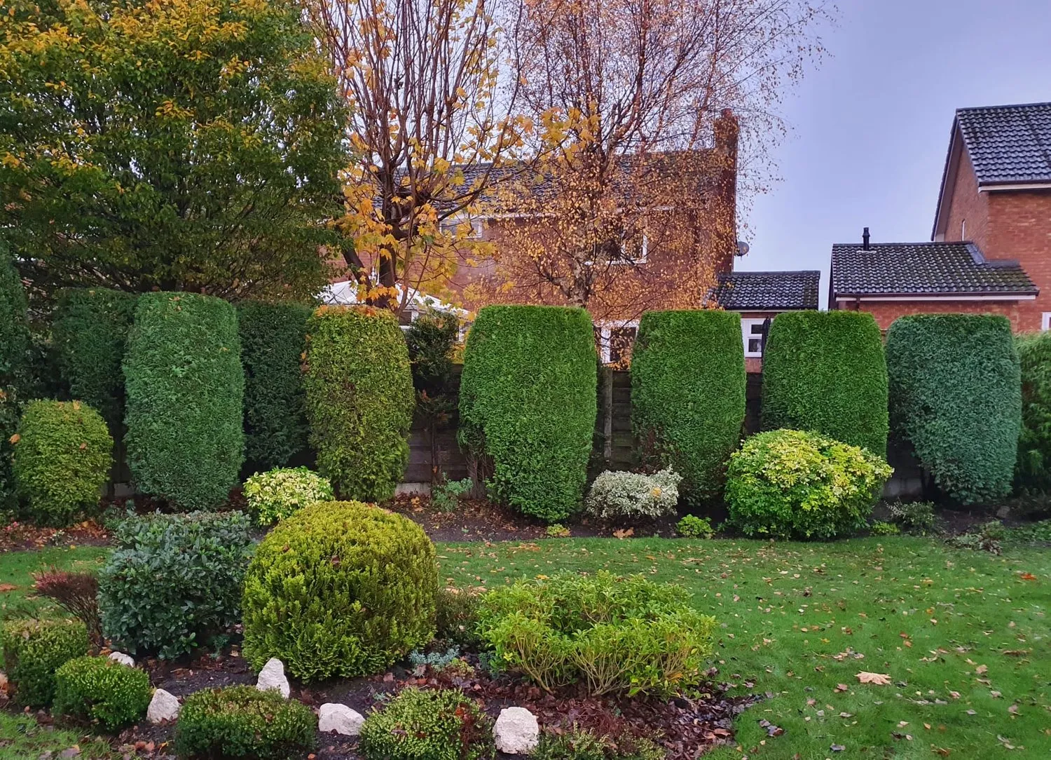 A garden with a lot of green bushes.